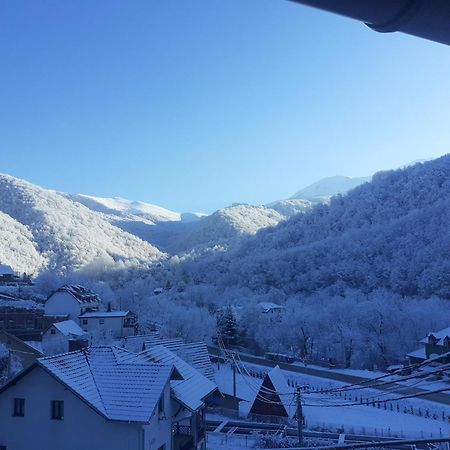 Bed and Breakfast Std Cvetkovic Crni Vrh Zewnętrze zdjęcie