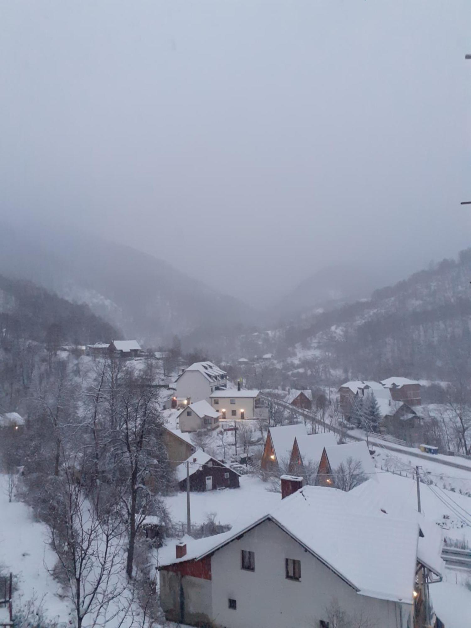Bed and Breakfast Std Cvetkovic Crni Vrh Zewnętrze zdjęcie