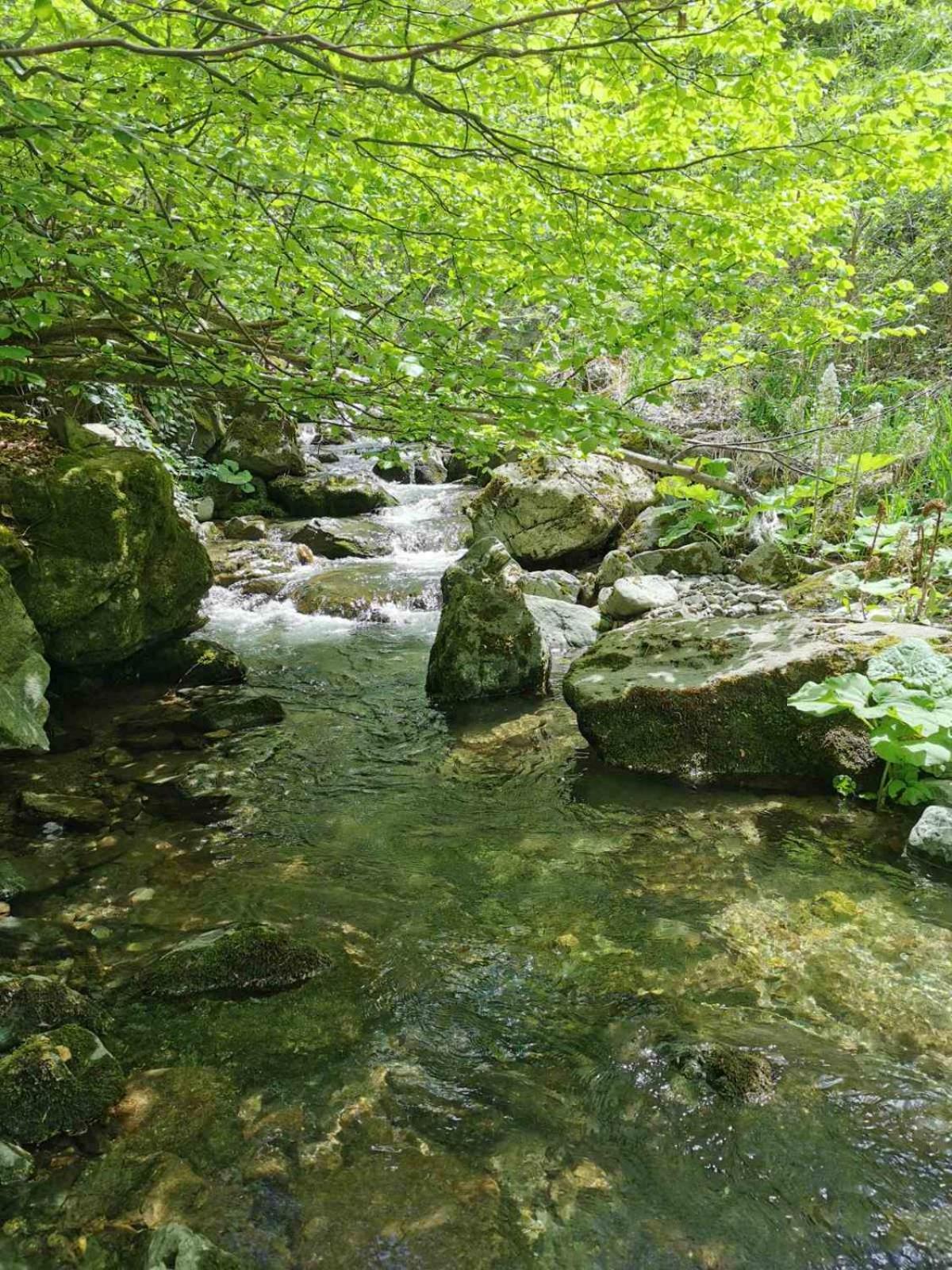 Bed and Breakfast Std Cvetkovic Crni Vrh Zewnętrze zdjęcie