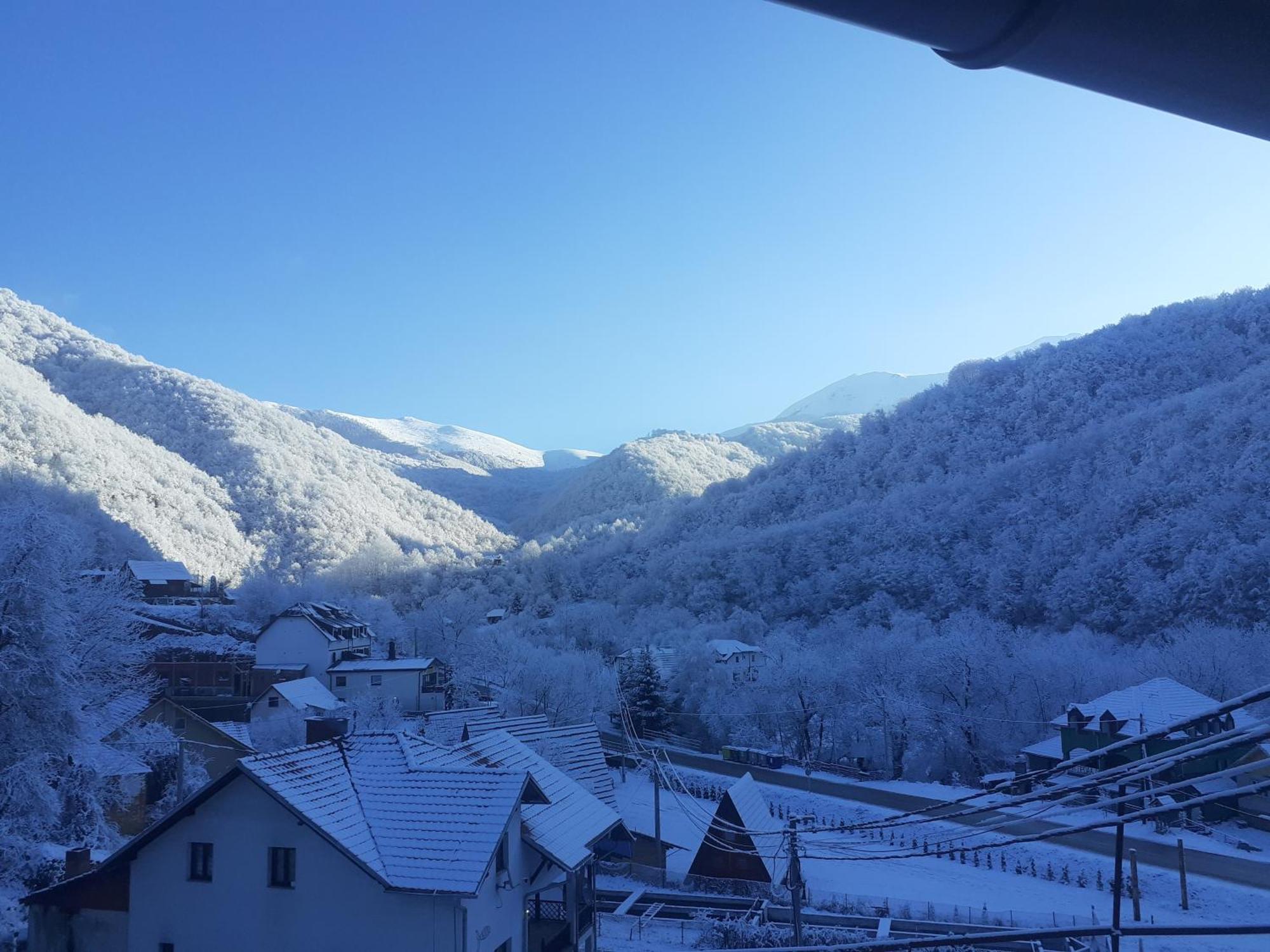 Bed and Breakfast Std Cvetkovic Crni Vrh Zewnętrze zdjęcie